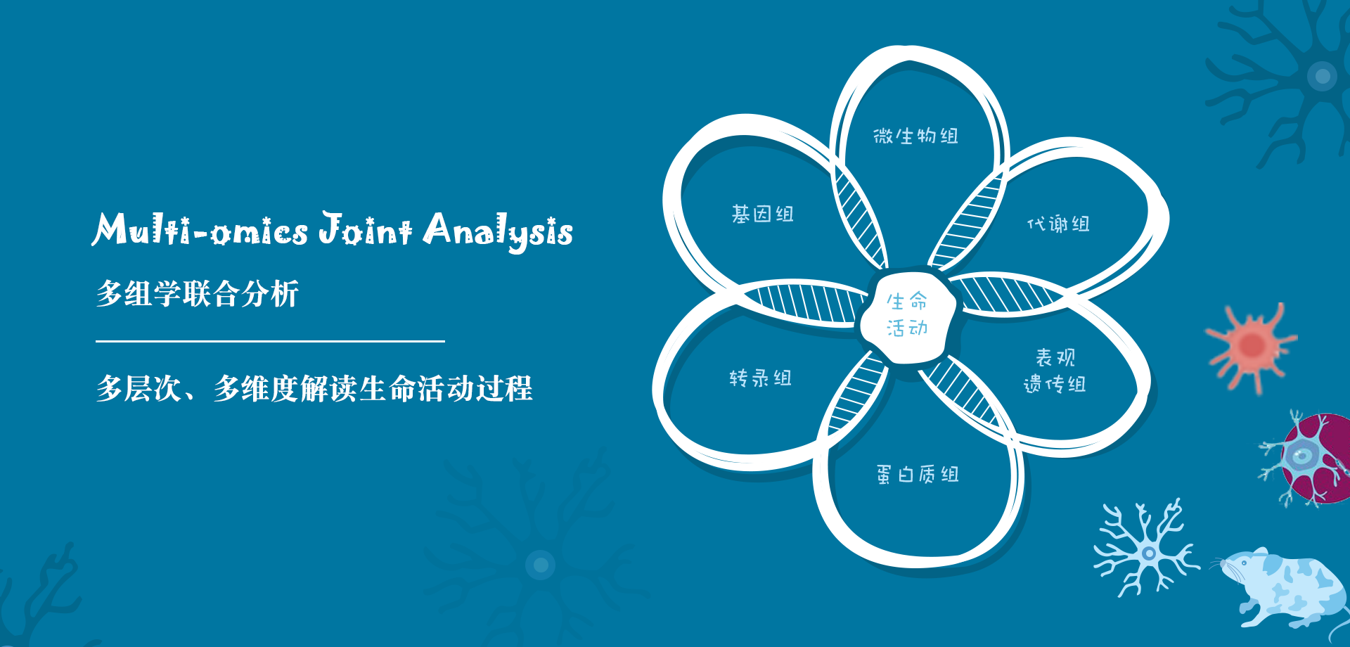 多组学转化医学研究中心